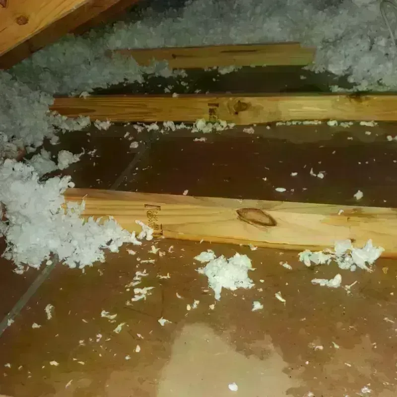 Attic Water Damage in Crane County, TX